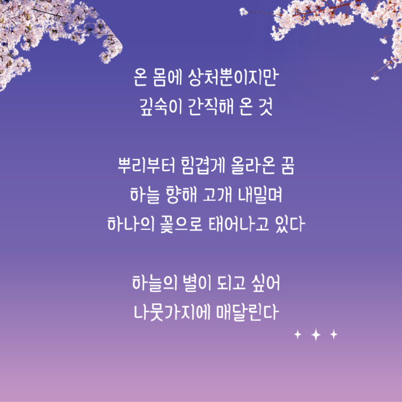 권수애, 별을 안고 핀 벚꽃2.png