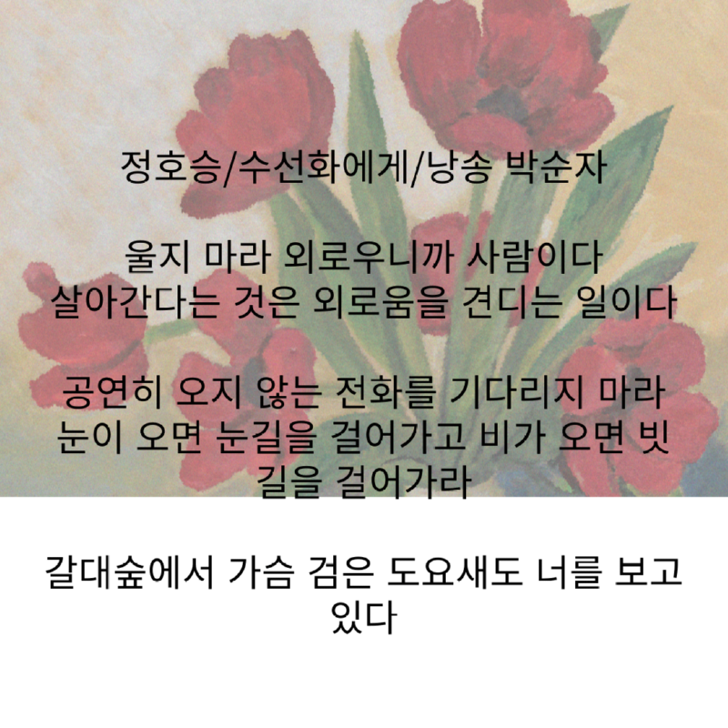 정호승, 수선화에게1.png