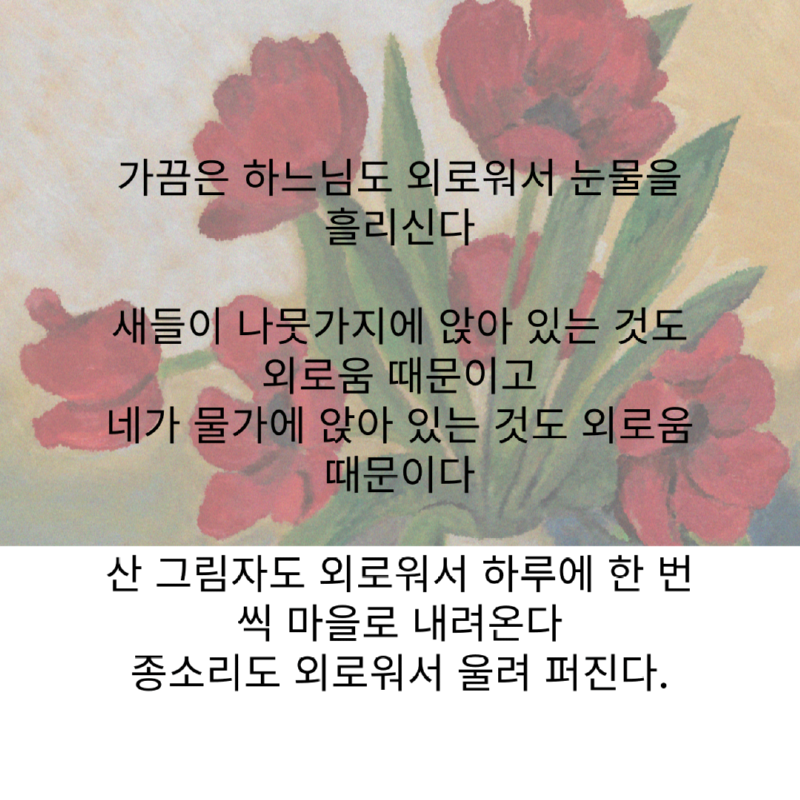 정호승, 수선화에게2.png