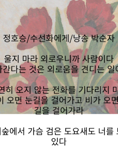 정호승, 수선화에게1.png