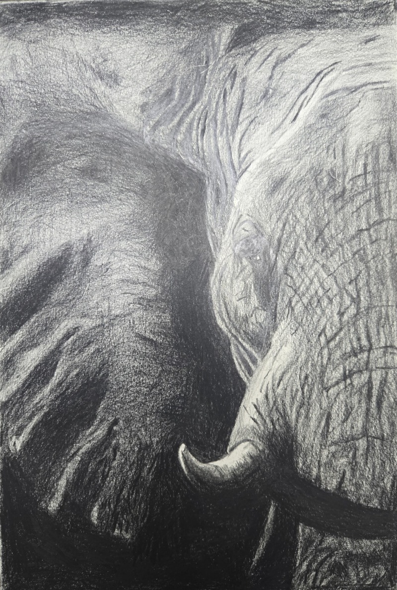 3. 박병건 그림.jpg